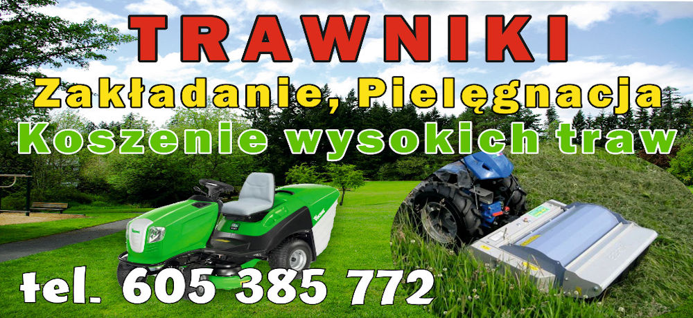 Trawniki - zakładanie trawnika, pielęgnacja i koszenie wysokich traw, 
							trawa z rolki.