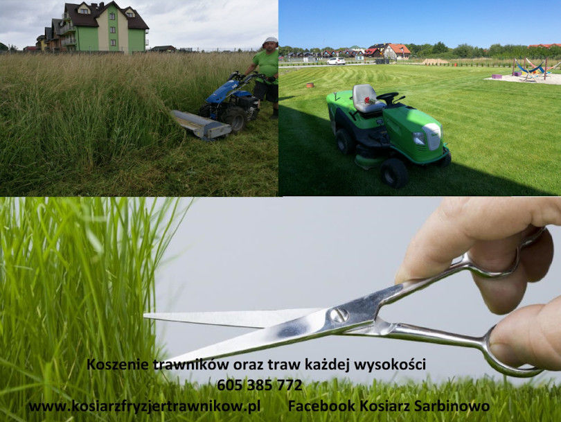 Koszenie trawników, trawy #1