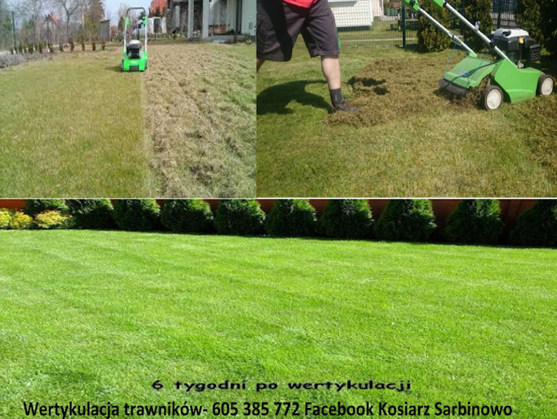 Wertykulacja trawników #1