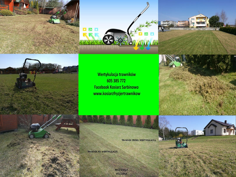 Wertykulacja trawników #2
