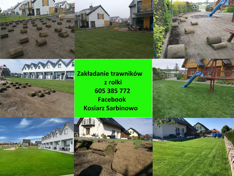 Zakładanie trawników z rolki lub siewu #3